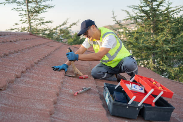 Roof Gutter Cleaning in Brier, WA